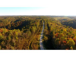 Property photo 28 - LAND AUCTION - 1,682+/- ACRES OFFERED IN 17 TRACTS IN LEWIS & GREENUP COUNTIES, KENTUCKY